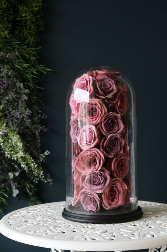 Roses séchées sous cloche en verre