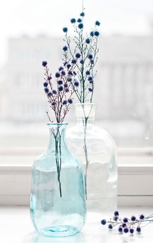Arrangement de fleurs séchées dans des pots en verre